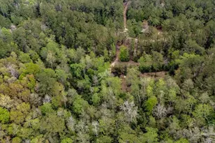 4660 Morristown Rd, Jay, FL 32565 - Photo 12