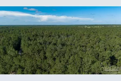 3.54 Acres Oser Rd, Pace, FL 32570 - Photo 4
