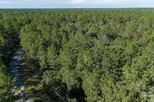 3 54 Acres Oser Rd, Pace, FL 32570 - Photo 1