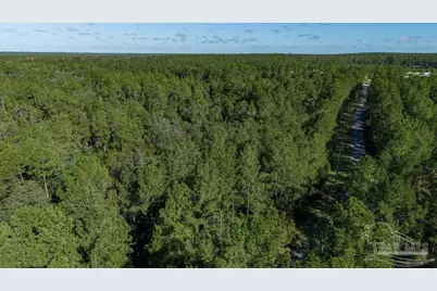 3.13 Acres Oser Rd, Milton, FL 32570 - Photo 4