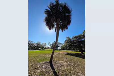 1164 Pearson Rd, Milton, FL 32583 - Photo 12