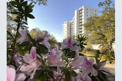 28250 Canal Rd #504, Orange Beach, AL 36561 - Photo 2