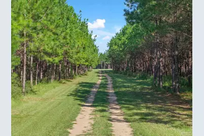 2742 Bud Diamond Rd, Jay, FL 32565 - Photo 20