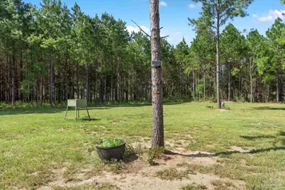 2742 Bud Diamond Rd, Jay, FL 32565 - Photo 28