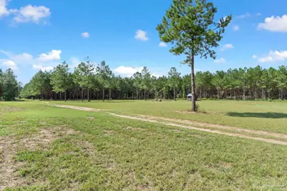 2742 Bud Diamond Rd, Jay, FL 32565 - Photo 32