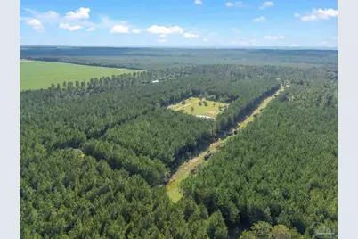 2742 Bud Diamond Rd, Jay, FL 32565 - Photo 4