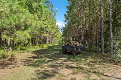 2742 Bud Diamond Rd, Jay, FL 32565 - Photo 34