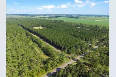 2742 Bud Diamond Rd, Jay, FL 32565 - Photo 10