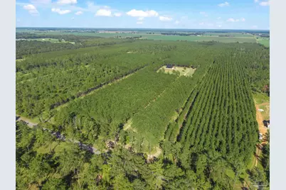 2742 Bud Diamond Rd, Jay, FL 32565 - Photo 12