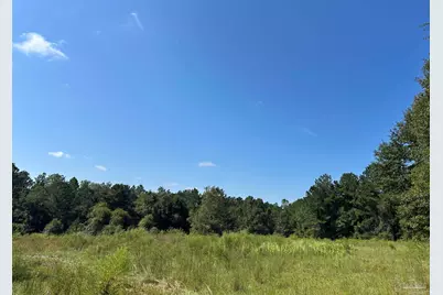 4949 Dobson Rd, Jay, FL 32565 - Photo 6