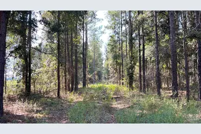 Lot 74 Posie Forest Rd, Milton, FL 32570 - Photo 1