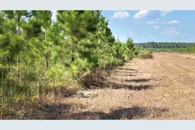 Lot 74 Posie Forest Rd, Milton, FL 32570 - Photo 4