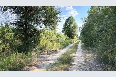 Lot 74 Posie Forest Rd, Milton, FL 32570 - Photo 6