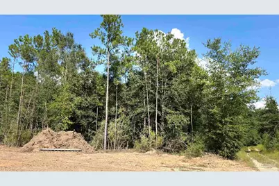 Lot 74 Posie Forest Rd, Milton, FL 32570 - Photo 2