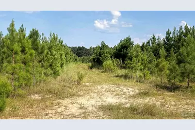 Lot 74 Posie Forest Rd, Milton, FL 32570 - Photo 8