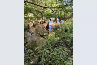 001 Pea Ridge Connector Rd, Pace, FL 32571 - Photo 2