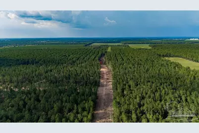 Lot 64 Posie Forest Rd, Milton, FL 32570 - Photo 4