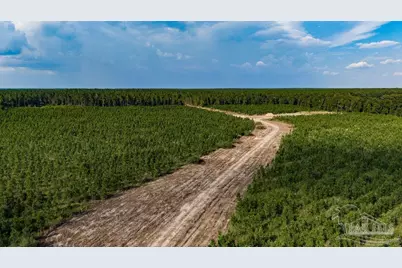 Lot 73 Posie Forest Rd, Milton, FL 32570 - Photo 38