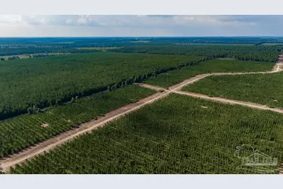 Lot 73 Posie Forest Rd, Milton, FL 32570 - Photo 12