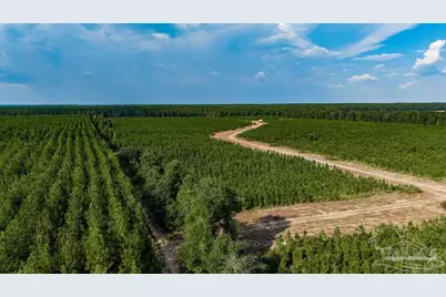 Lot 73 Posie Forest Rd, Milton, FL 32570 - Photo 40