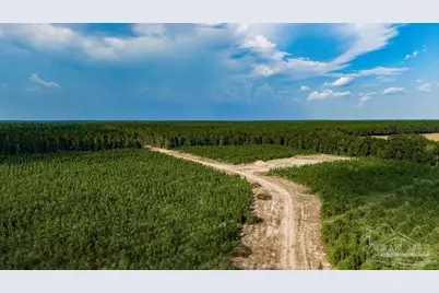 Lot 73 Posie Forest Rd, Milton, FL 32570 - Photo 16