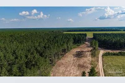 Lot 73 Posie Forest Rd, Milton, FL 32570 - Photo 26