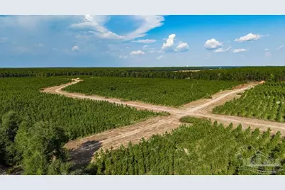 Lot 73 Posie Forest Rd, Milton, FL 32570 - Photo 14