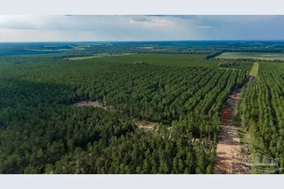 Lot 73 Posie Forest Rd, Milton, FL 32570 - Photo 44