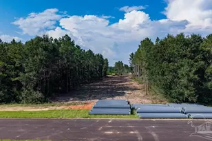 Lot 73 Posie Forest Rd, Milton, FL 32570 - Photo 1