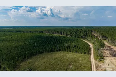 Lot 73 Posie Forest Rd, Milton, FL 32570 - Photo 6