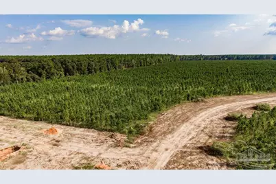 Lot 73 Posie Forest Rd, Milton, FL 32570 - Photo 18