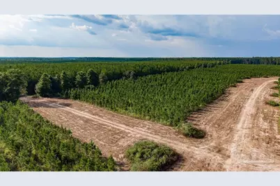 Lot 73 Posie Forest Rd, Milton, FL 32570 - Photo 46