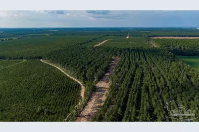 Lot 73 Posie Forest Rd, Milton, FL 32570 - Photo 32