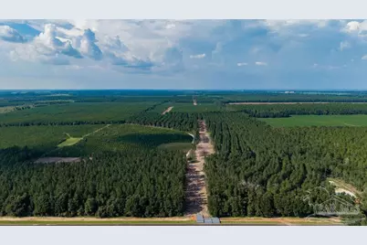 Lot 91 Posie Forest Rd, Milton, FL 32570 - Photo 2