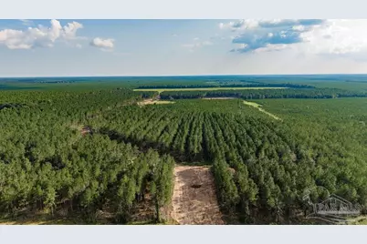 Lot 91 Posie Forest Rd, Milton, FL 32570 - Photo 1