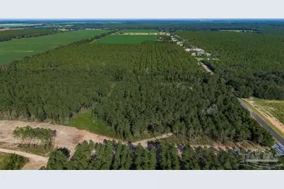 Lot 91 Posie Forest Rd, Milton, FL 32570 - Photo 8