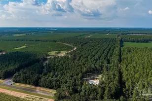 Lot 93 Posie Forest Rd, Milton, FL 32570 - Photo 1