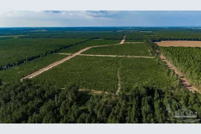 Lot 93 Posie Forest Rd, Milton, FL 32570 - Photo 6