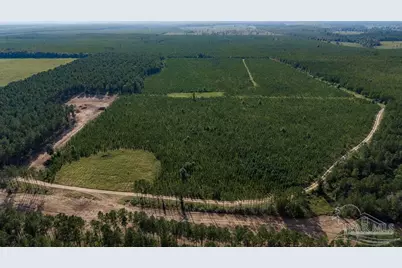 Lot 87 Posie Forest Rd, Milton, FL 32570 - Photo 2