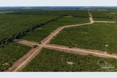 Lot 87 Posie Forest Rd, Milton, FL 32570 - Photo 6