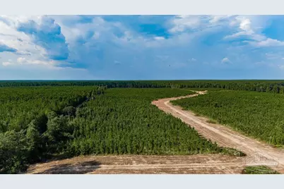 Lot 87 Posie Forest Rd, Milton, FL 32570 - Photo 10
