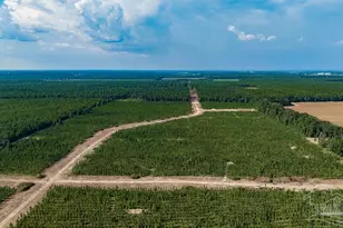 Lot 87 Posie Forest Rd, Milton, FL 32570 - Photo 1