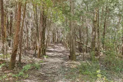5404 Creek View Ln, Pace, FL 32571 - Photo 52