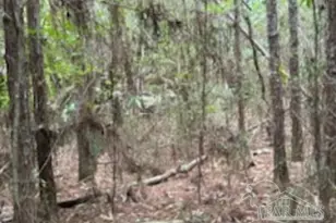 7350 Munson Hwy, Milton, FL 32570 - Photo 16