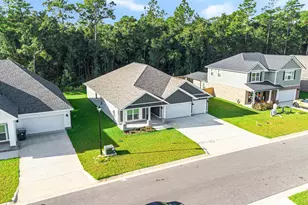 3219 Water Birch Rd, Cantonment, FL 32533 - Photo 46