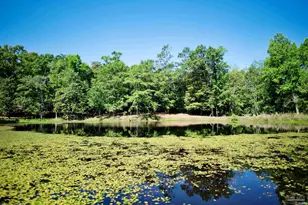 2001 Chavers Rd, Cantonment, FL 32533 - Photo 56