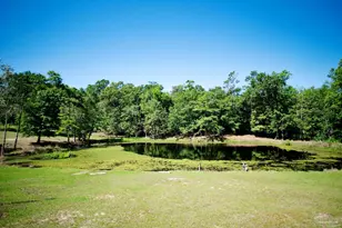2001 Chavers Rd, Cantonment, FL 32533 - Photo 32
