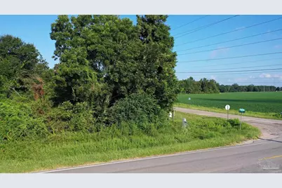 Lot 1 Highway 99A, Walnut Hill, FL 32568 - Photo 12
