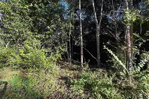 2770 Nelsontown Rd, Jay, FL 32565 - Photo 14