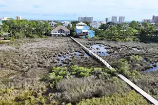 29813 St John Dr, Orange Beach, AL 36561 - Photo 48